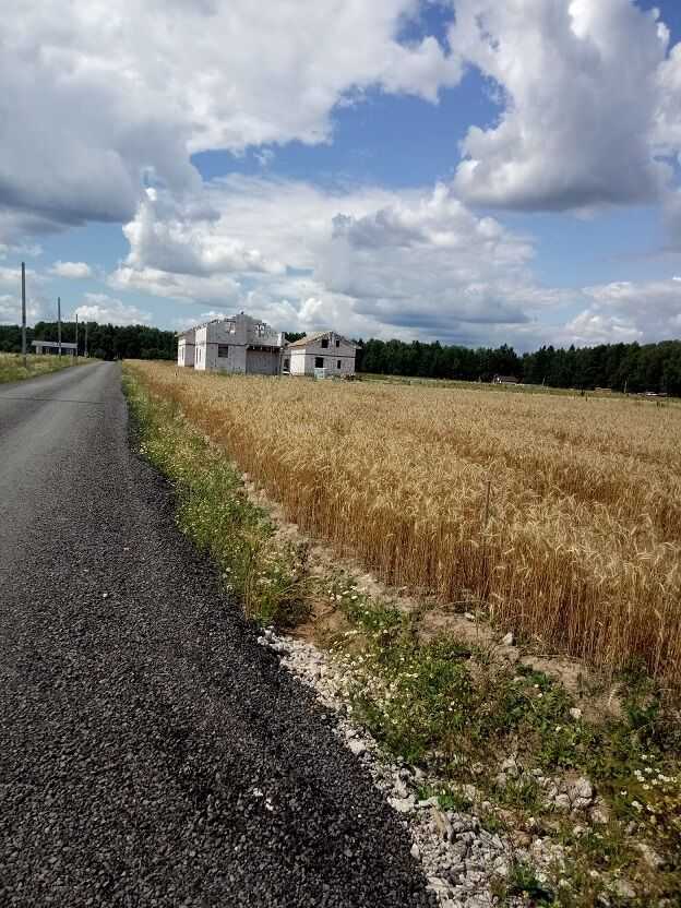 Уничтожение плодородного слоя земли и урожая пшеницы у д. Сонино